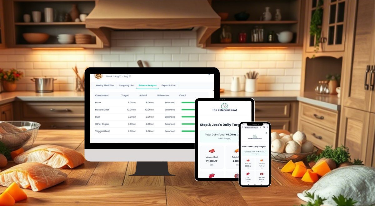 A visual showing the frustrating complexity of spreadsheets compared to the simple interface of The Balanced Bowl app.