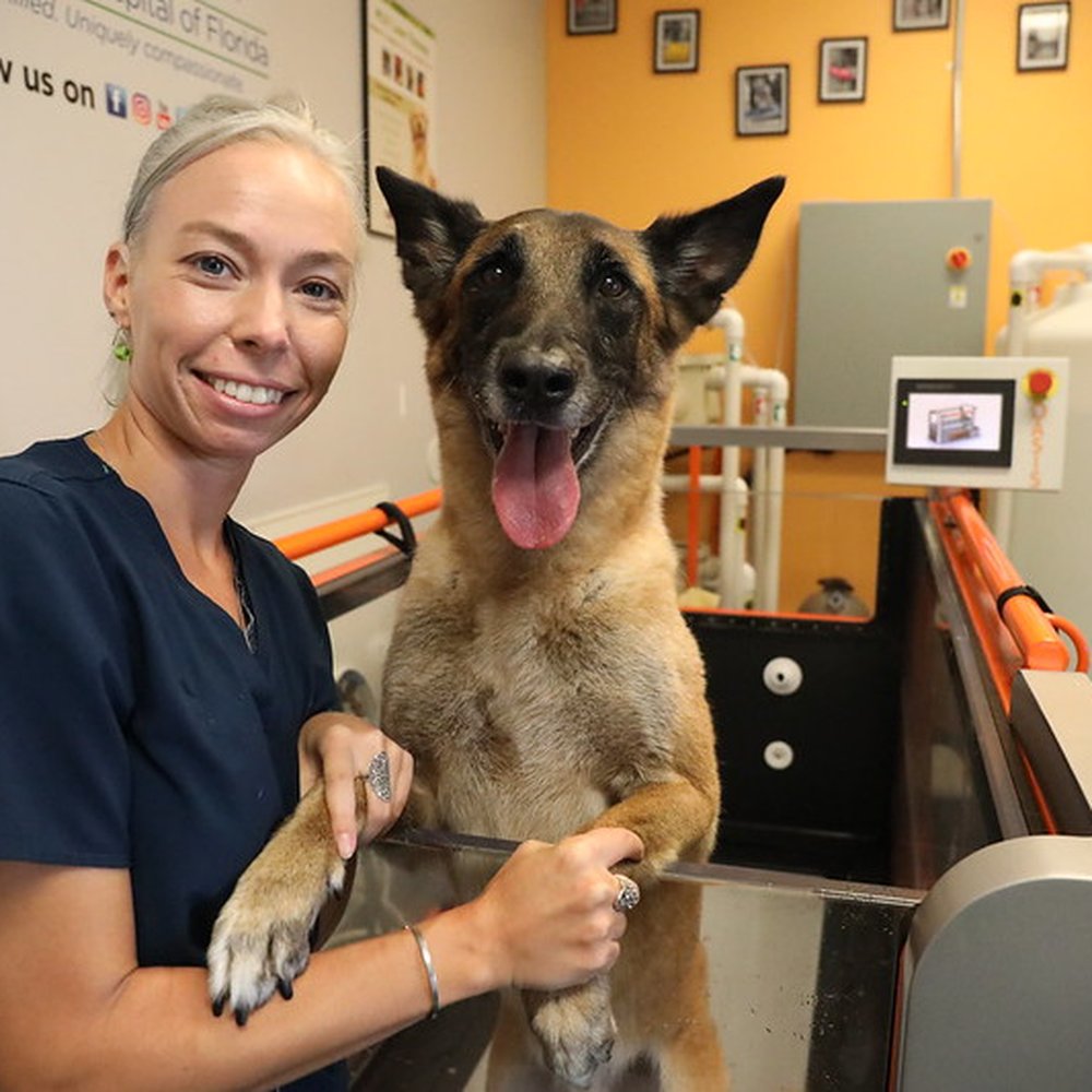 Photo of a happy dog and owner.