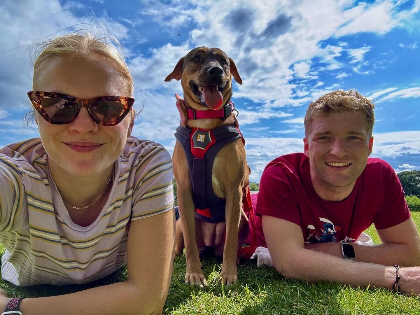 Photo of a happy dog and owner.